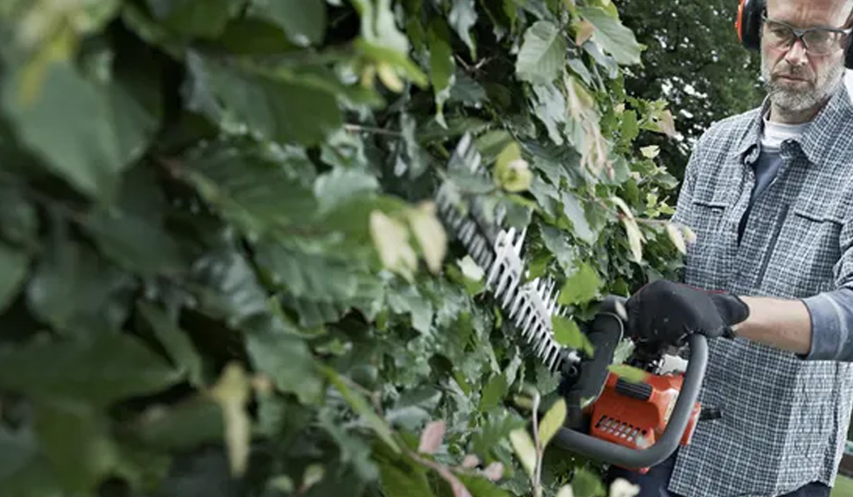 Hedge Trimmers 101: Your Ultimate Hedge Trimmer Handbook